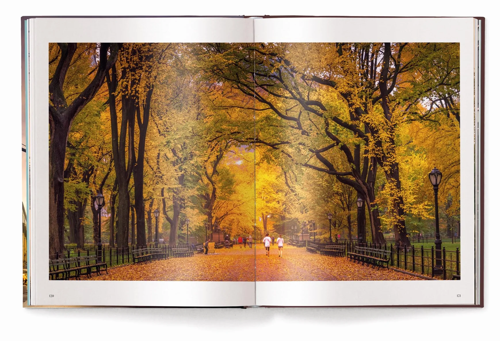 New York: Serge Ramelli