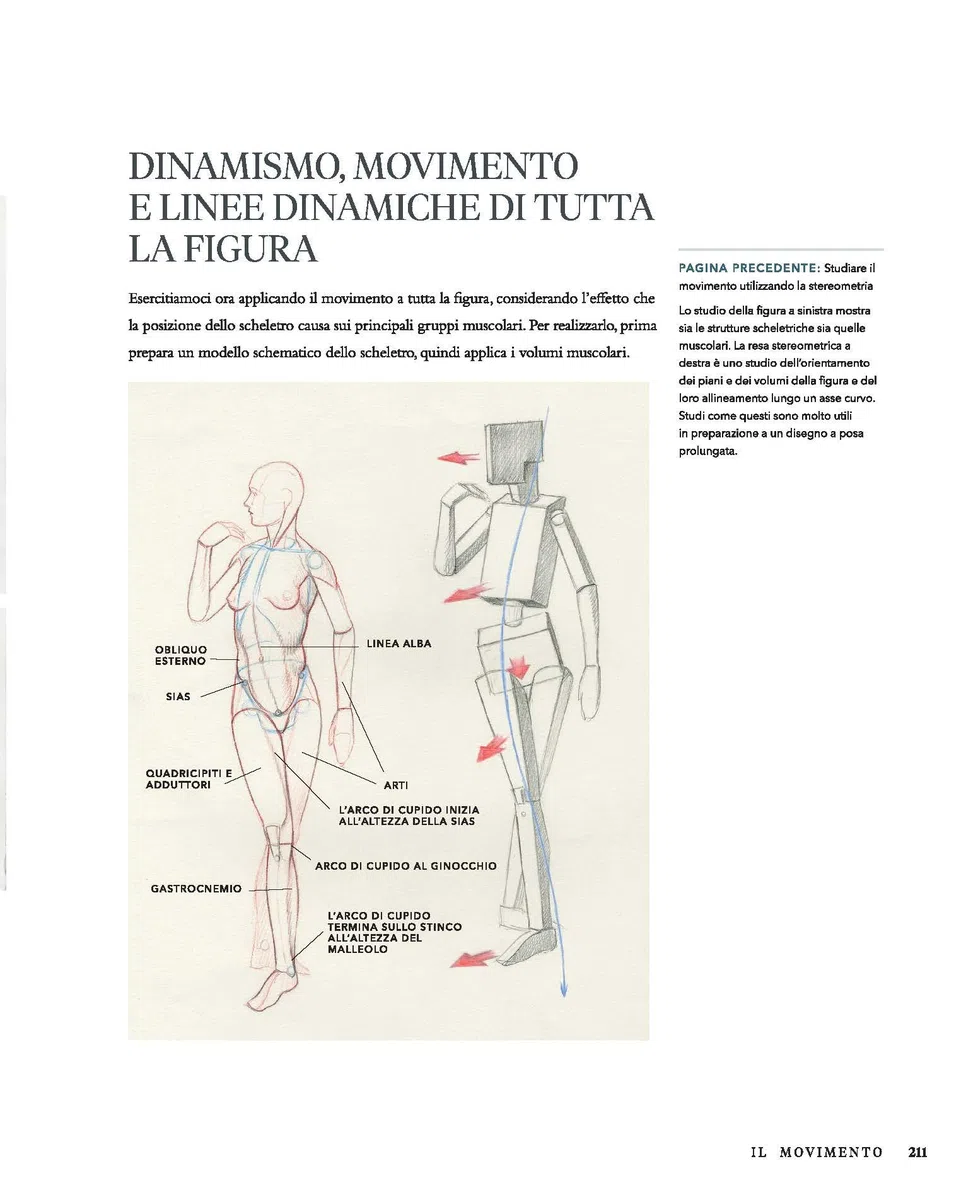 Anatomia artistica della figura umana in movimento