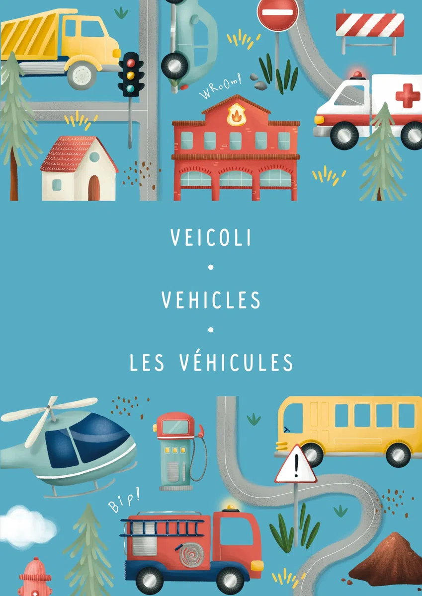 Veicoli - Vehicles - Les vehicules. Magnetic box set. Ediz. a colori