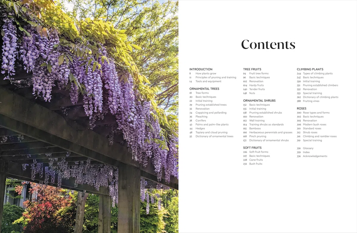 RHS Pruning and Training : What, When, and How to Prune Over 800 Plants