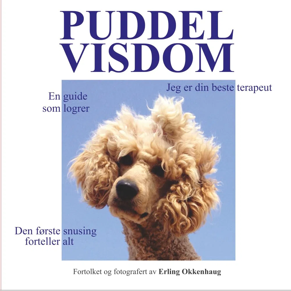 PUDDELVISDOM: En guide som logrer