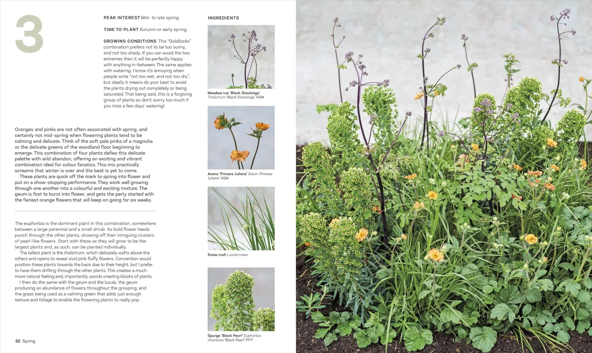 What Grows Together: THE INSTANT SUNDAY TIMES BESTSELLER