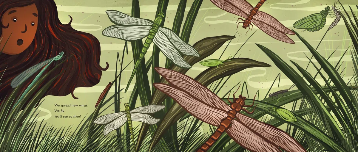 When You See Us: The Mysterious World of Aquatic Insects