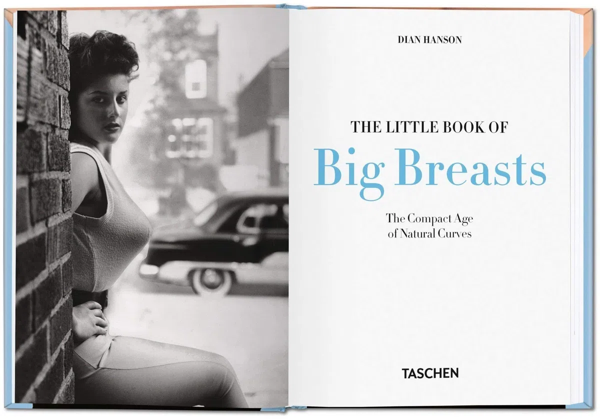 The little book of big breasts. Ediz. tedesca, inglese e francese: The Compact Age of Natural Curves