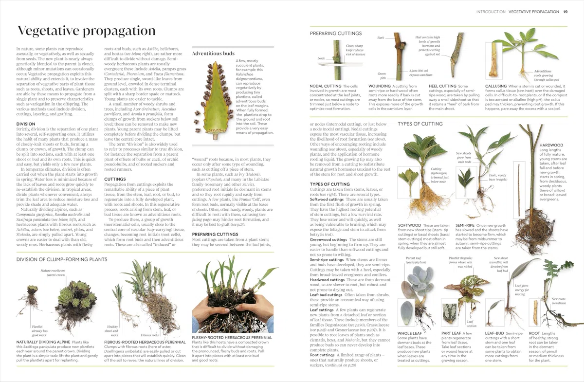 RHS Propagating Plants: How to Grow Plants for Free