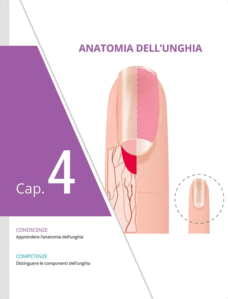 Manicure e pedicure in cabina. Nuova ediz.