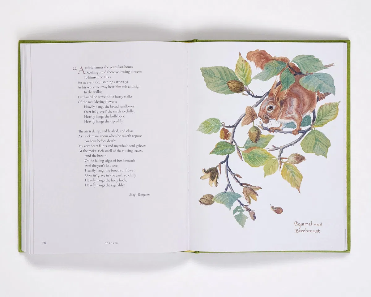 Nature Notes of an Edwardian Lady: A Seasonal Guide from the Edwardian Lady