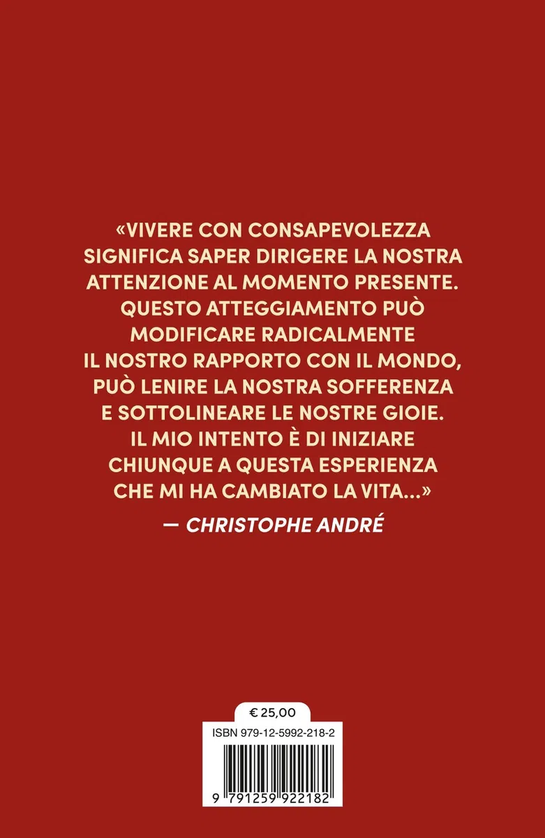 Dell'arte della meditazione. 25 quadri, 25 modi per imparare a vivere con consapevolezza