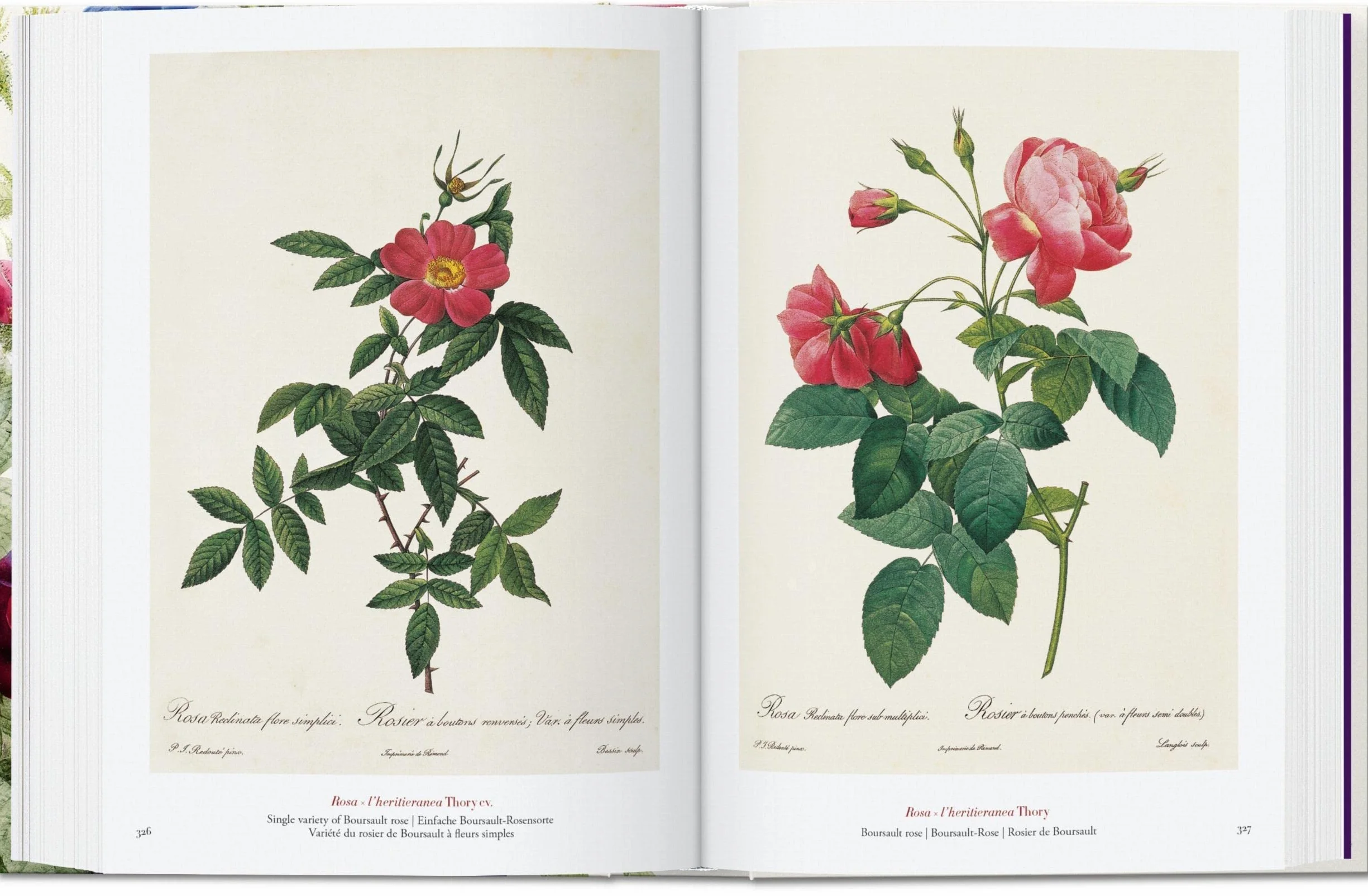 Redouté: The Book of Flowers. 45th Ed.