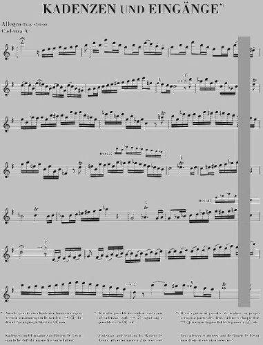 MOZART W.A. - CONCERTO PER FLUTE AND ORCHESTRA G MAJOR KV 313 - Note classiche