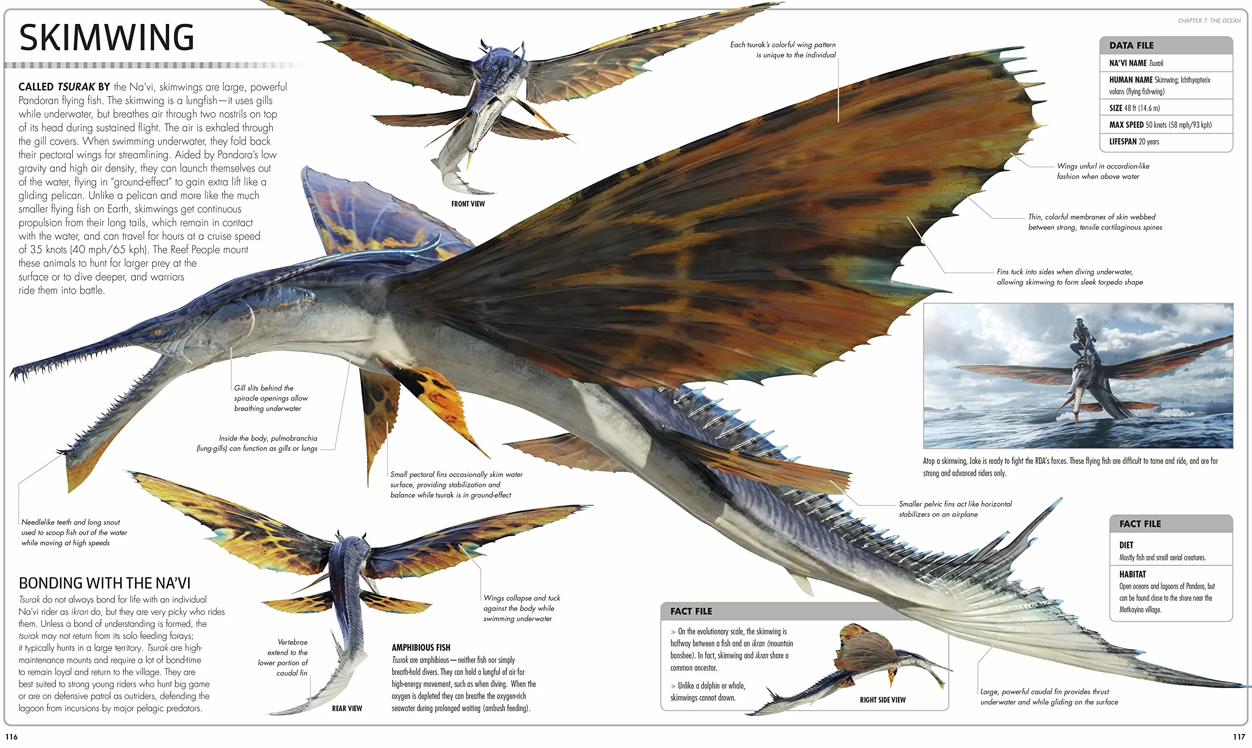 Avatar The Way of Water The Visual Dictionary