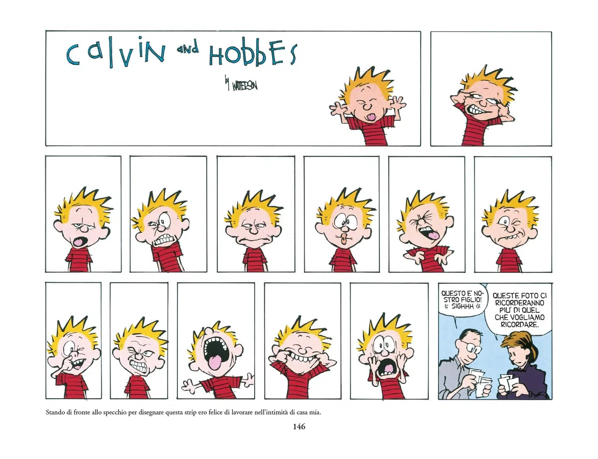 Dieci anni di Calvin and Hobbes