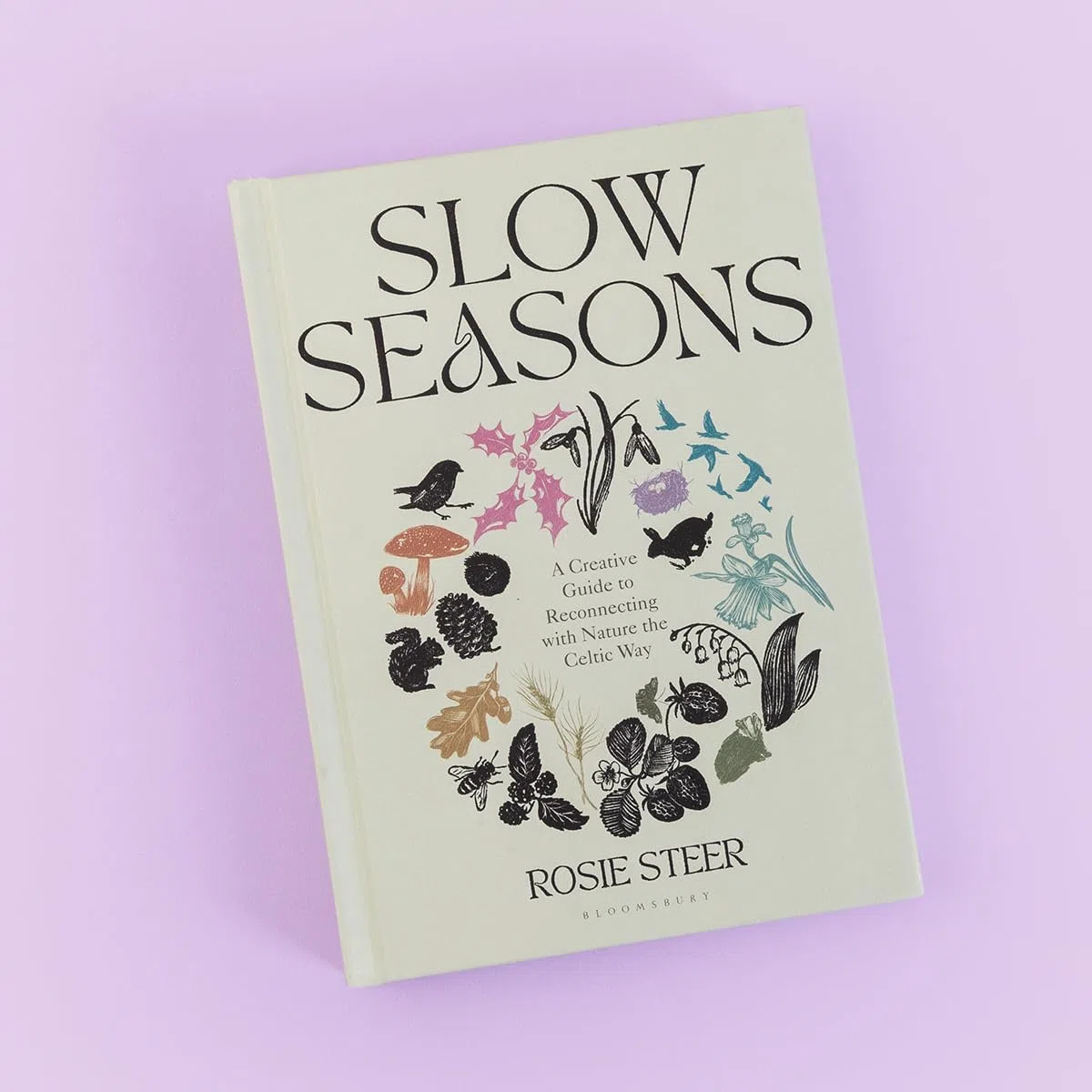 Slow Seasons: A Creative Guide to Reconnecting with Nature the Celtic Way