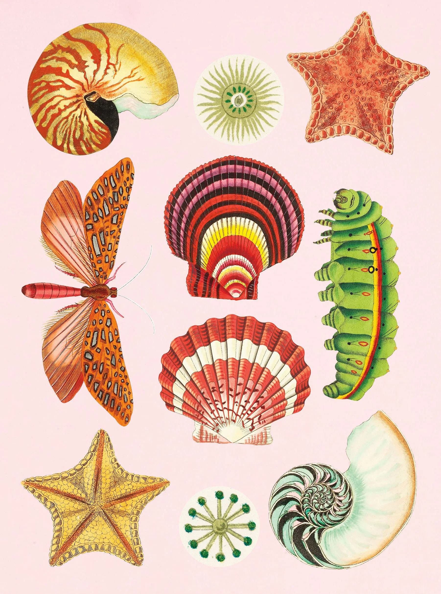 The Antiquarian Sticker Book : An Illustrated Compendium of Adhesive Ephemera