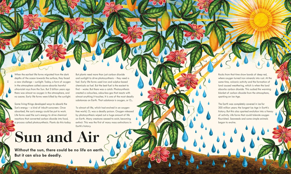 The Wonder of Life on Earth : A beautifully illustrated story of our planet, evolution and you, by the winner of the Royal Society Science Book Prize