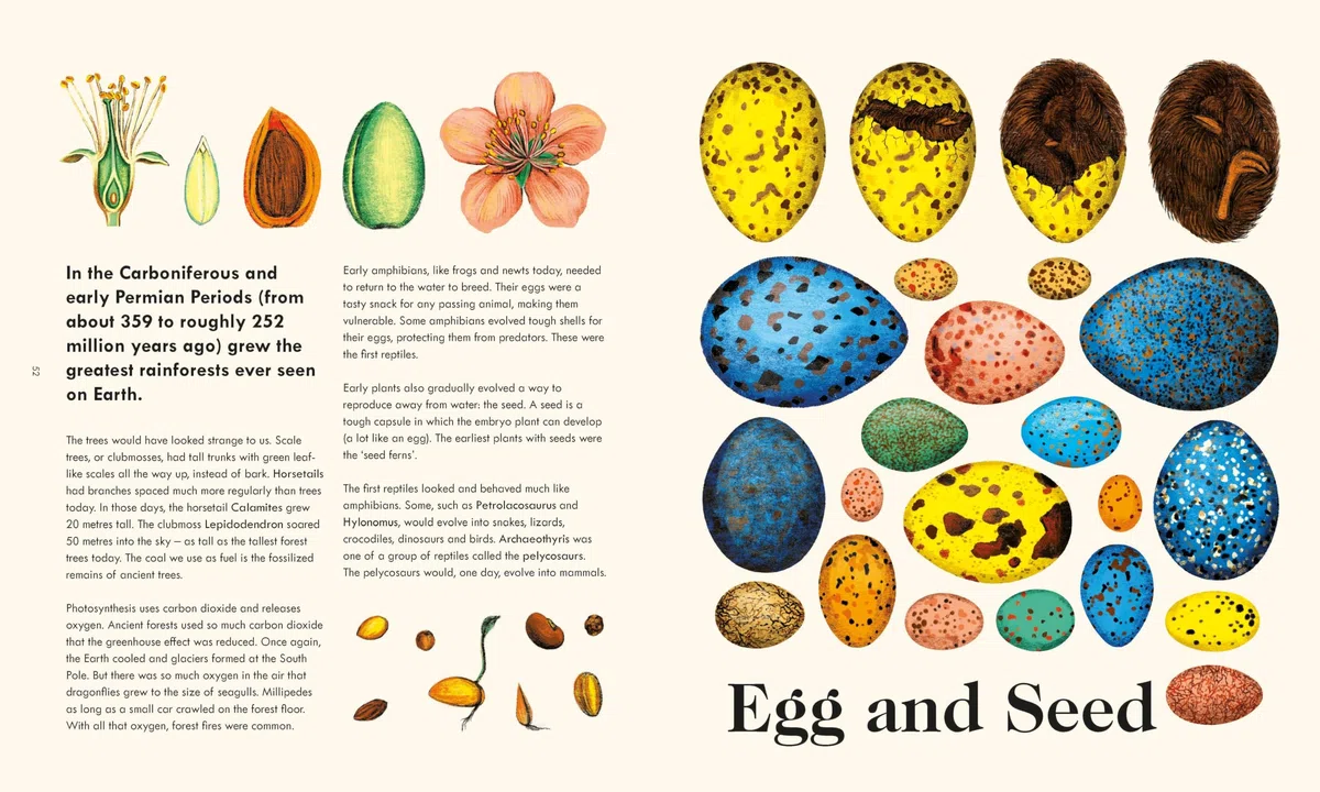 The Wonder of Life on Earth : A beautifully illustrated story of our planet, evolution and you, by the winner of the Royal Society Science Book Prize
