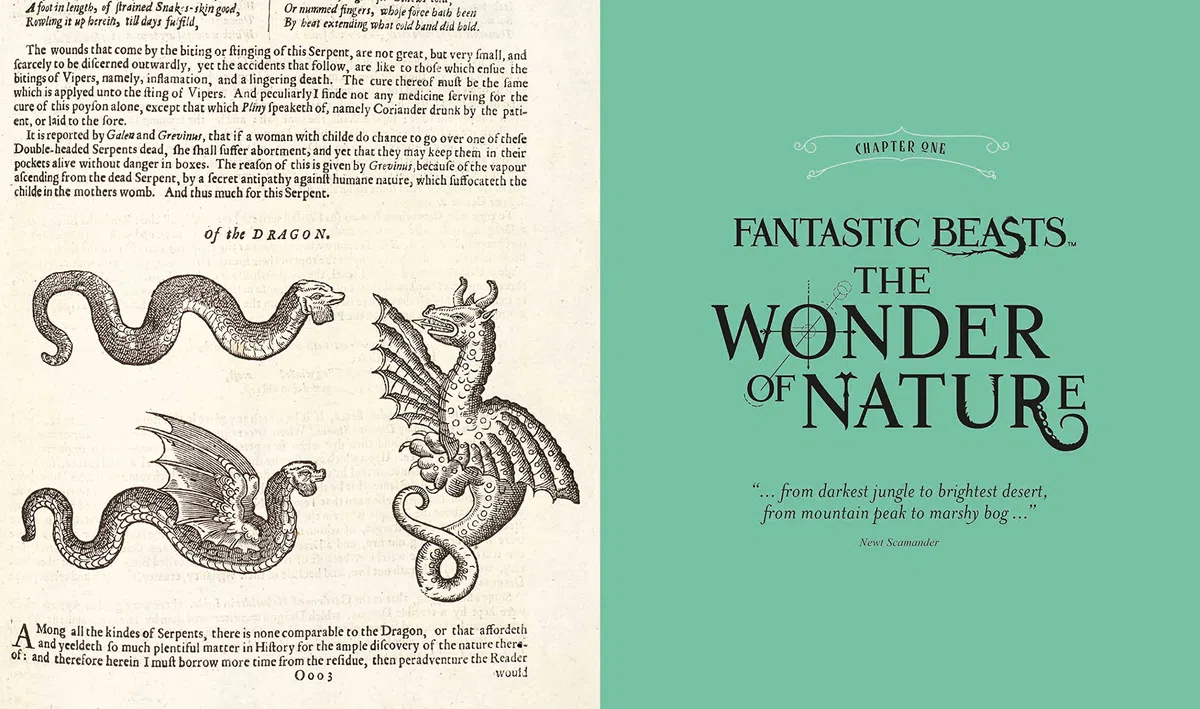 Fantastic Beasts: The Wonder of Nature: Amazing Animals and the Magical Creatures of Harry Potter and Fantastic Beasts