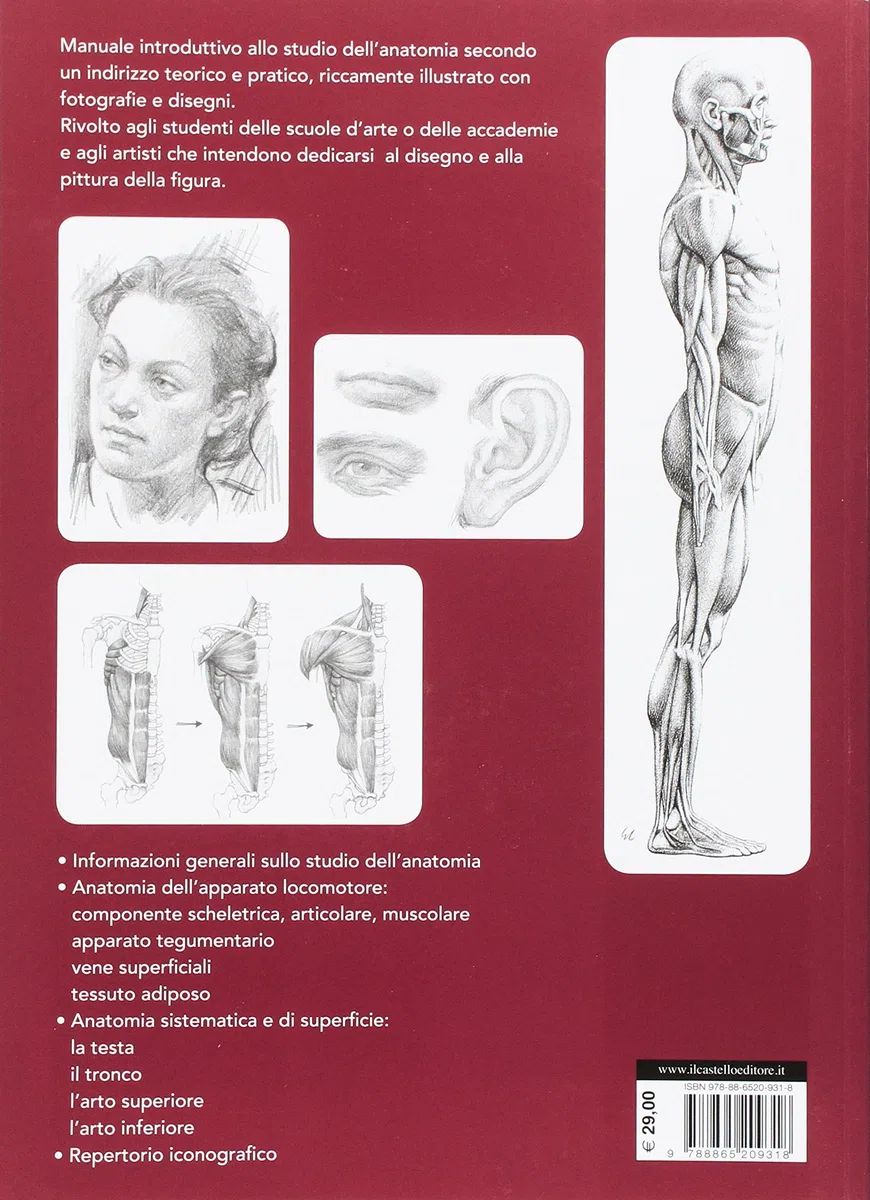 Anatomia per l'artista
