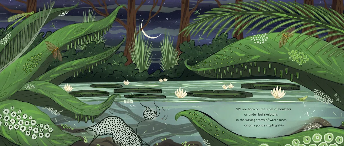 When You See Us: The Mysterious World of Aquatic Insects