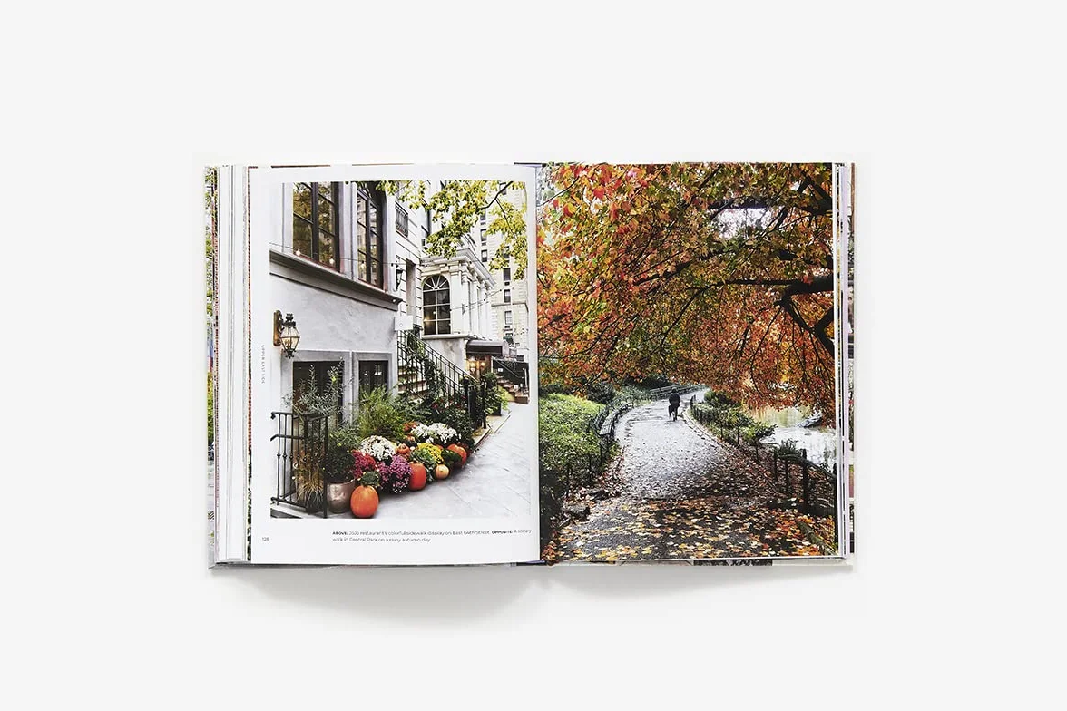 Walk With Me New York: The Beauty of New York Through the Lens of Susan Kaufman