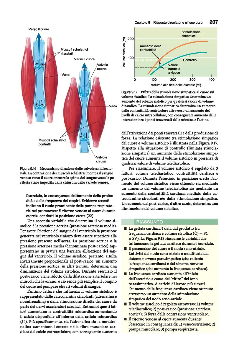 Fisiologia dell'esercizio. Teoria e pratica per forma fisica e performance