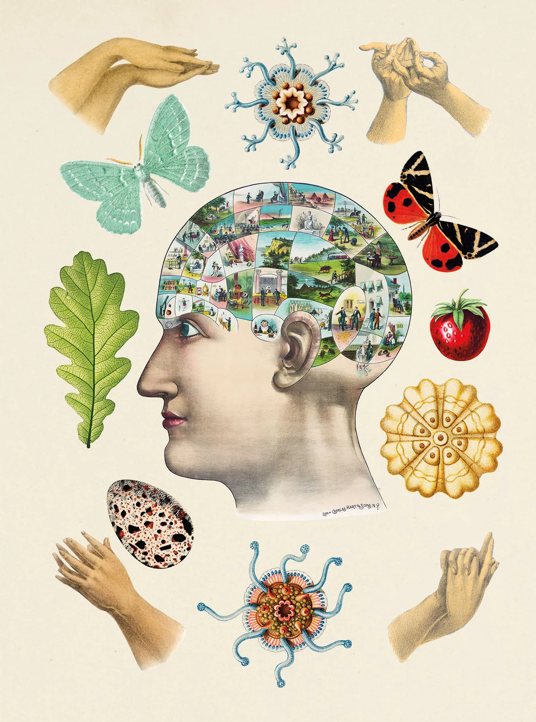 The Antiquarian Sticker Book : An Illustrated Compendium of Adhesive Ephemera