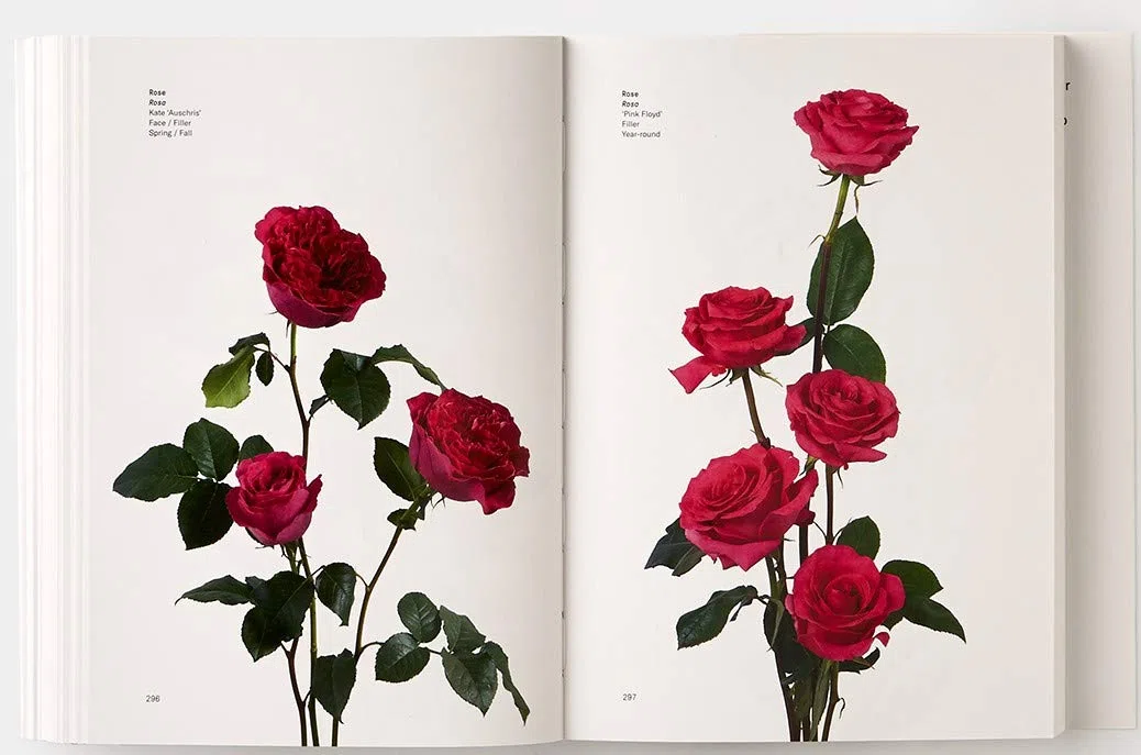 Il colore dei fiori