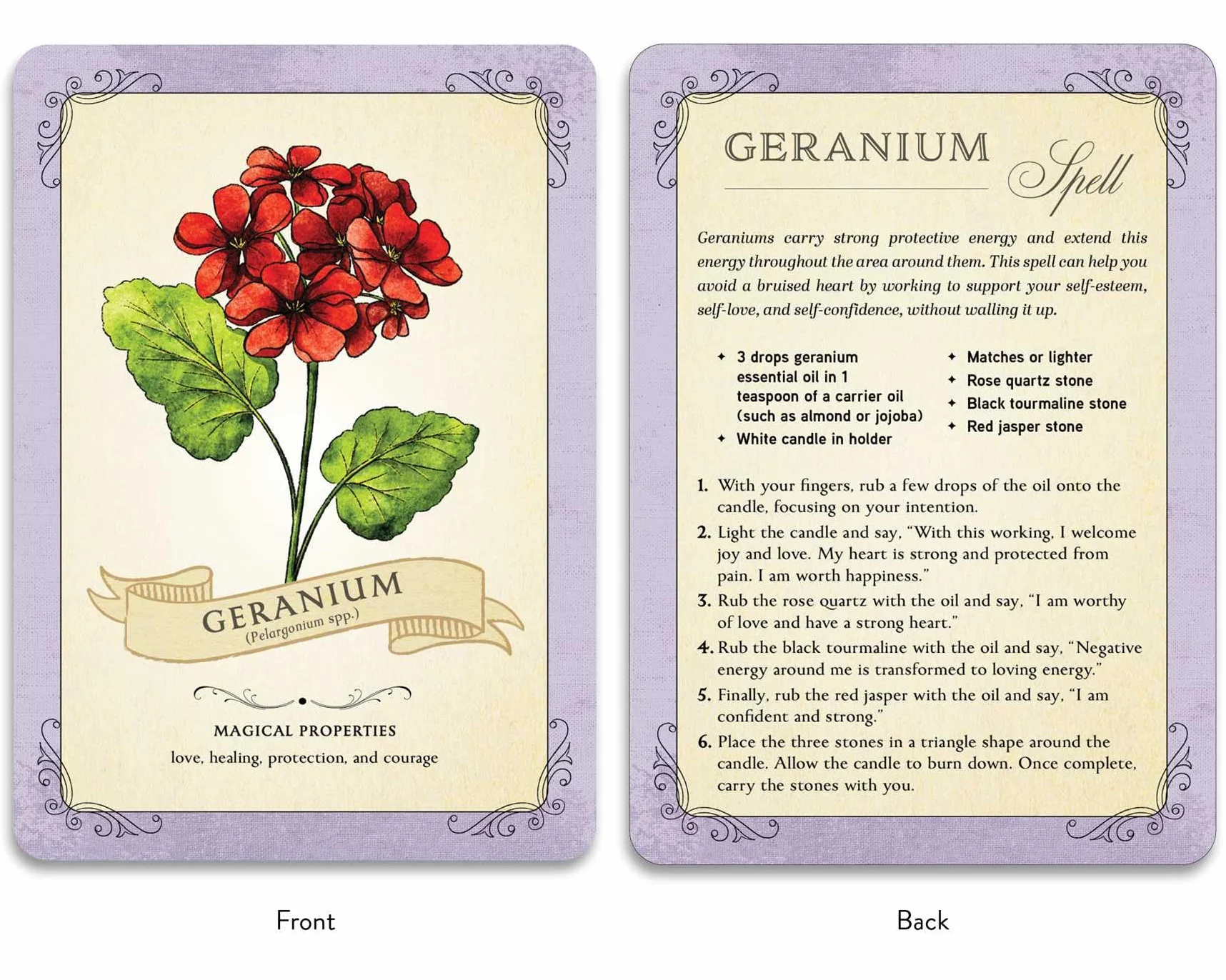 The Green Witch's Deck of Magical Herbalism : 50 of the Most Magical Plants, Herbs, and Flowers to Empower Your Craft