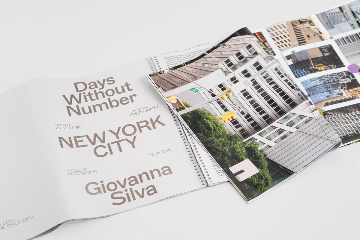Giovanna Silva: Days without Number. Ediz. a spirale: Days Without Number, New York City