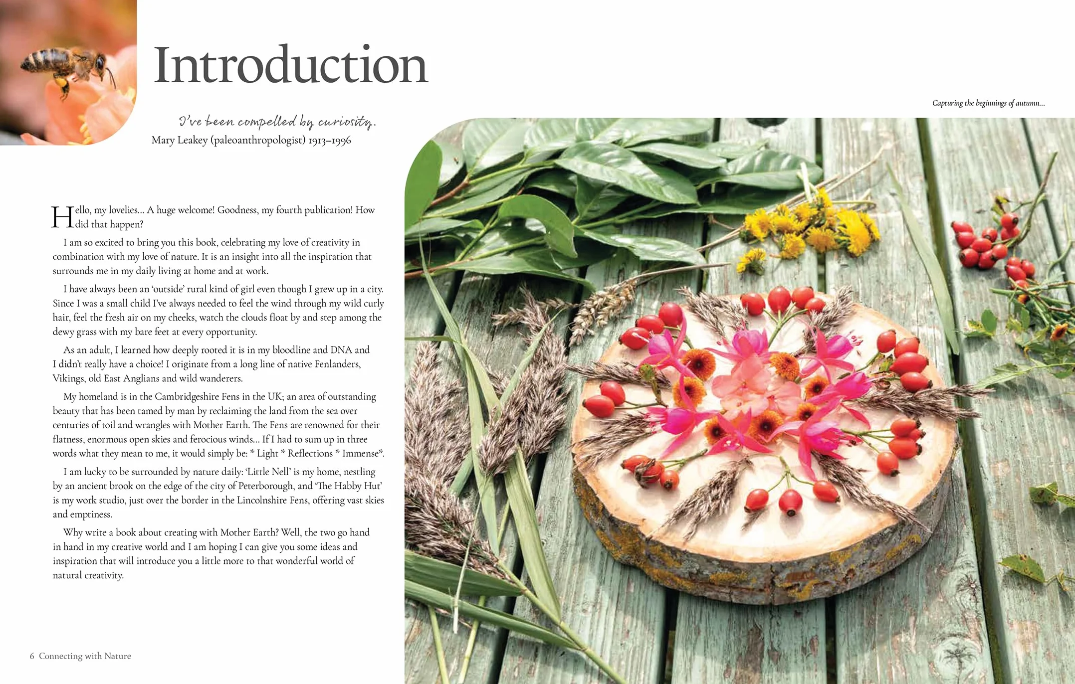 Connecting with Nature: Mindful Stitching and Textile Art Through the Seasons