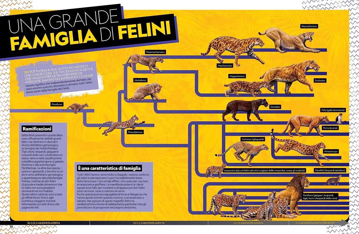 Il grande libro dei felini. Ediz. a colori