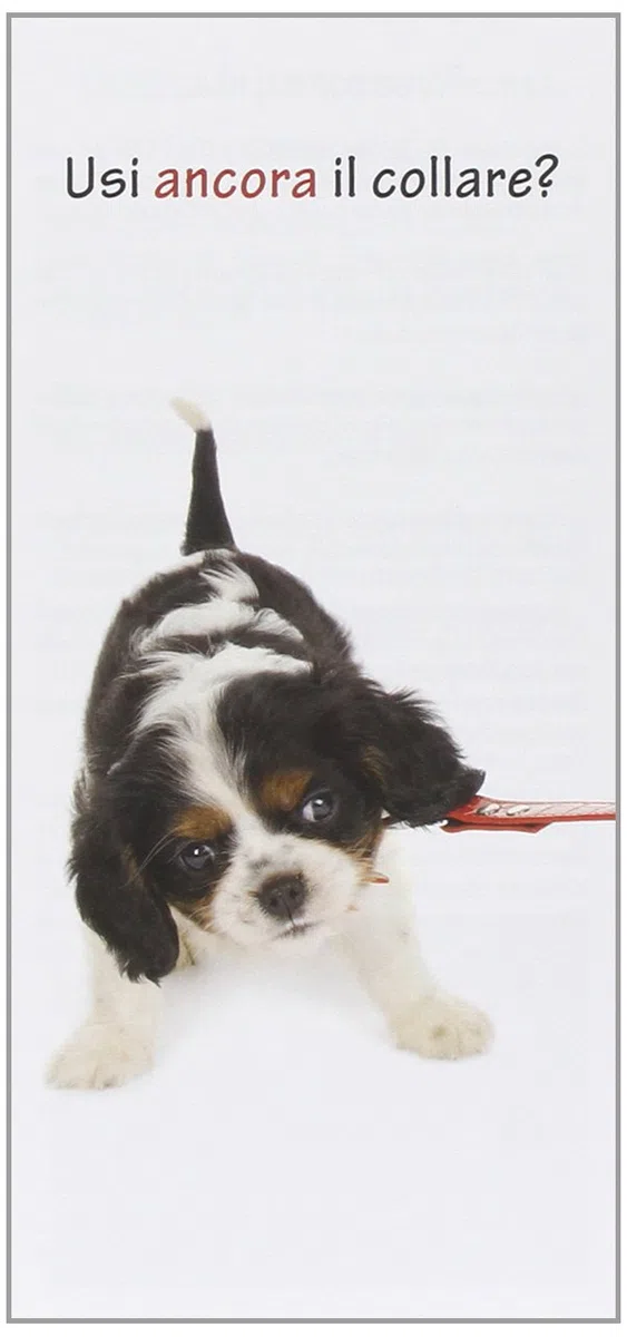 Il ttouch per il cane. Con DVD