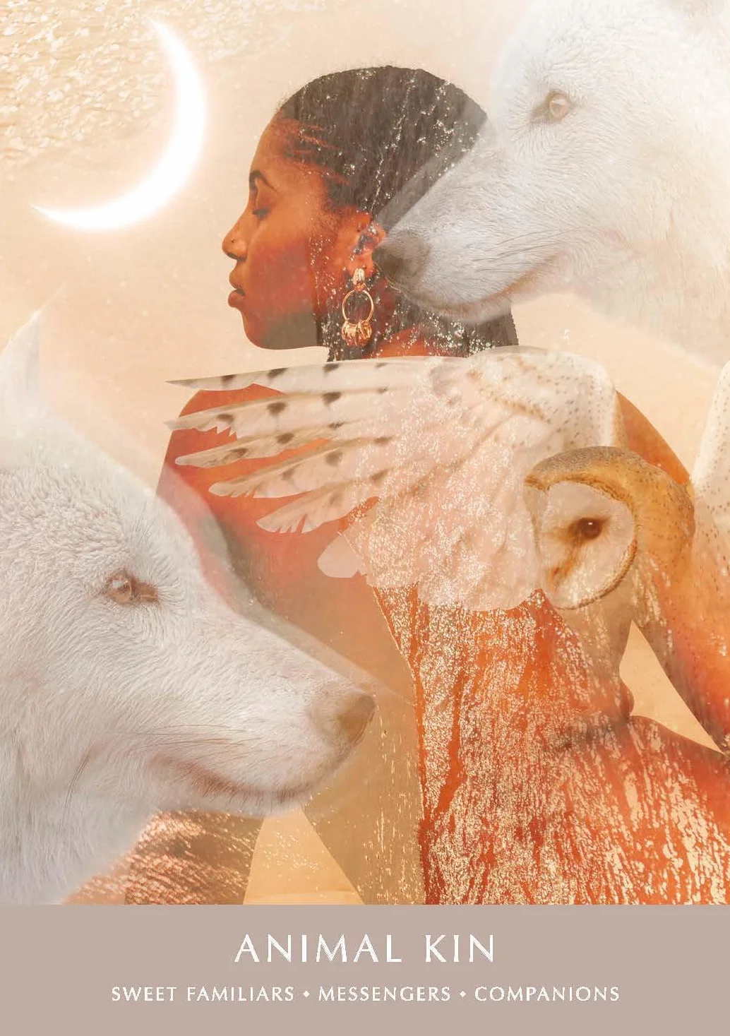 The Dreamgate Oracle: A Self-Reflective Deck and Guidebook