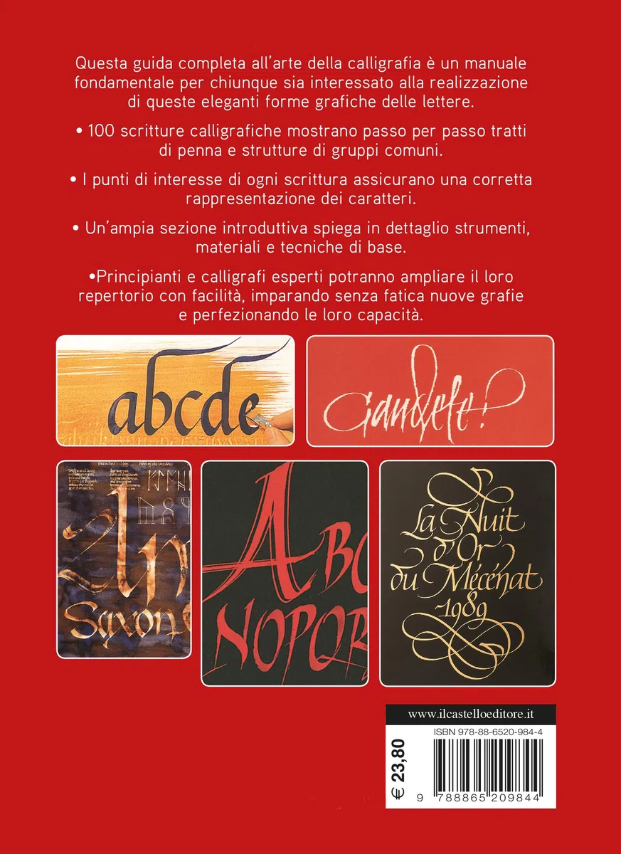 Enciclopedia della calligrafia. 100 alfabeti completi e come realizzarli. Ediz. a spirale