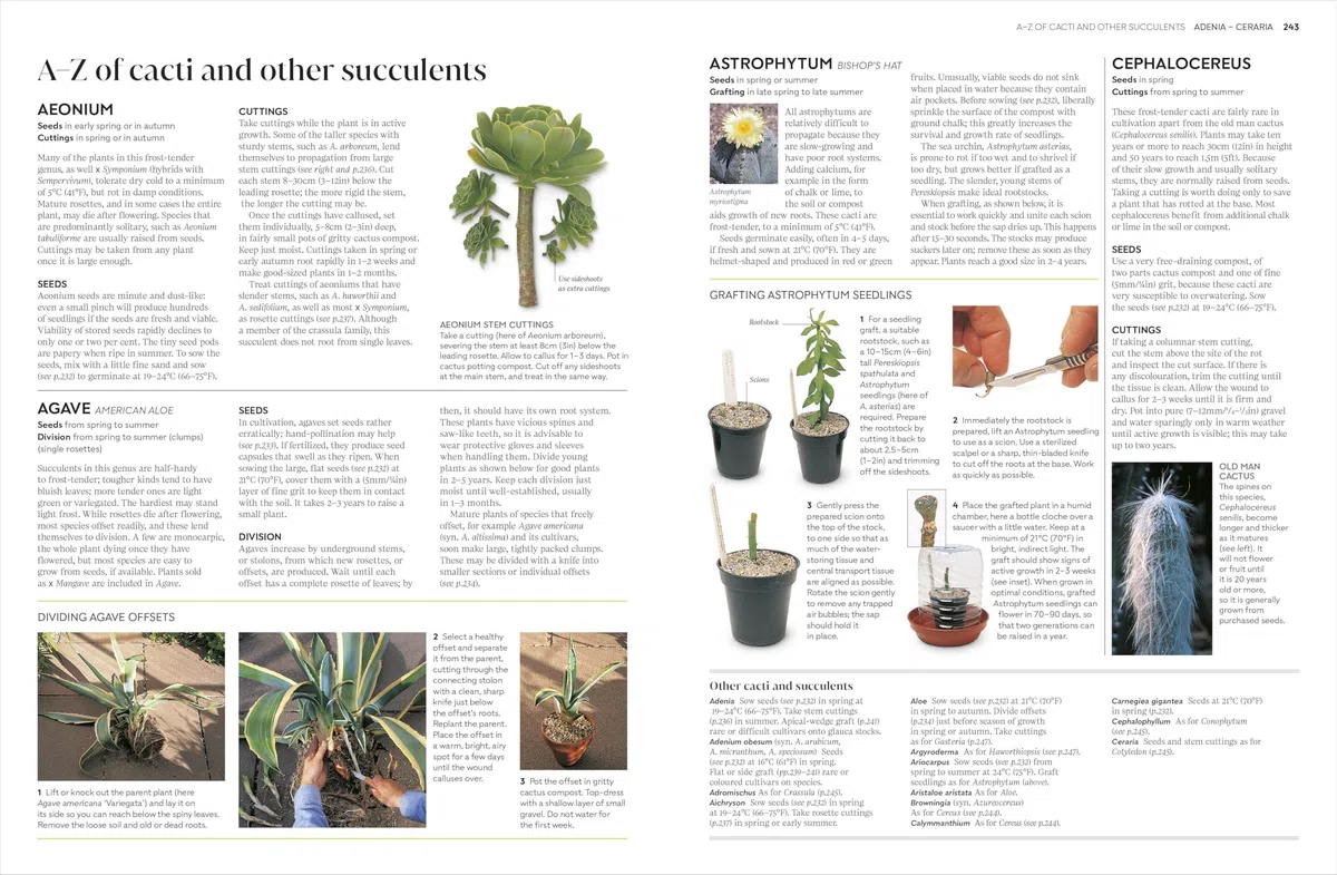 RHS Propagating Plants: How to Grow Plants for Free
