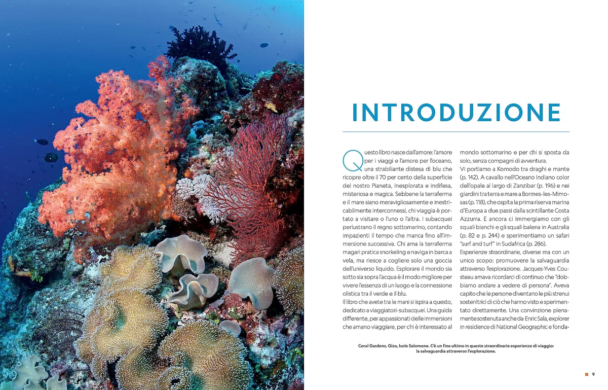 Guida completa per subacquei. Le migliori immersioni del mondo e incredibili esperienze sopra e sotto la superficie del mare. Ediz. a colori