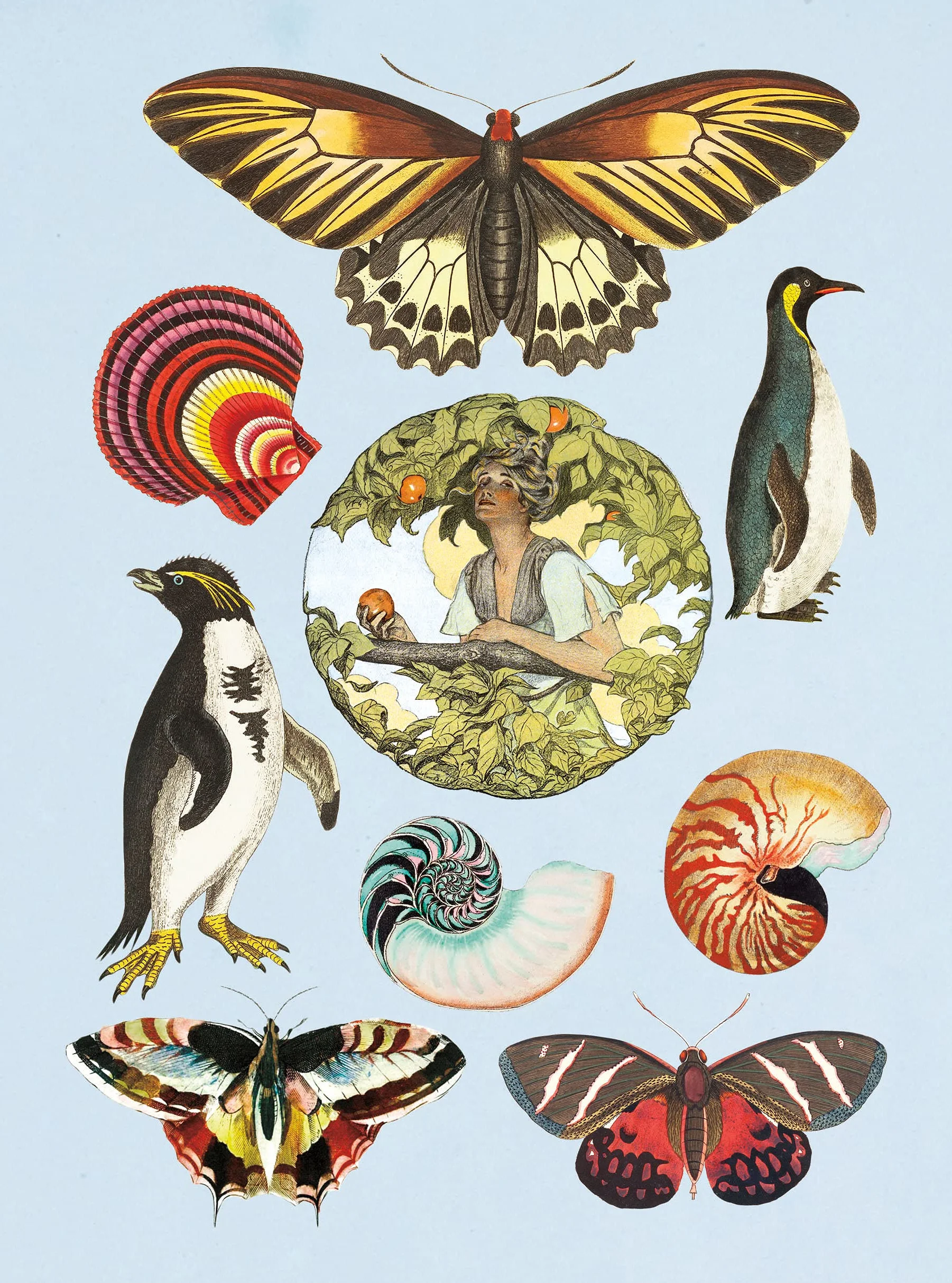 The Antiquarian Sticker Book : An Illustrated Compendium of Adhesive Ephemera