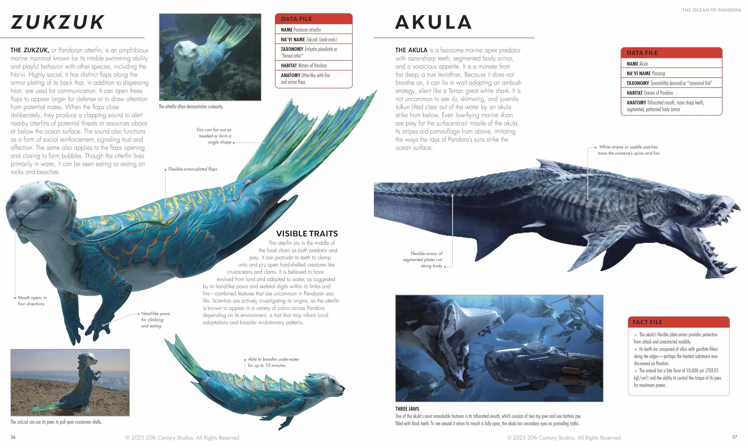 Avatar Fire and Ash The Visual Dictionary