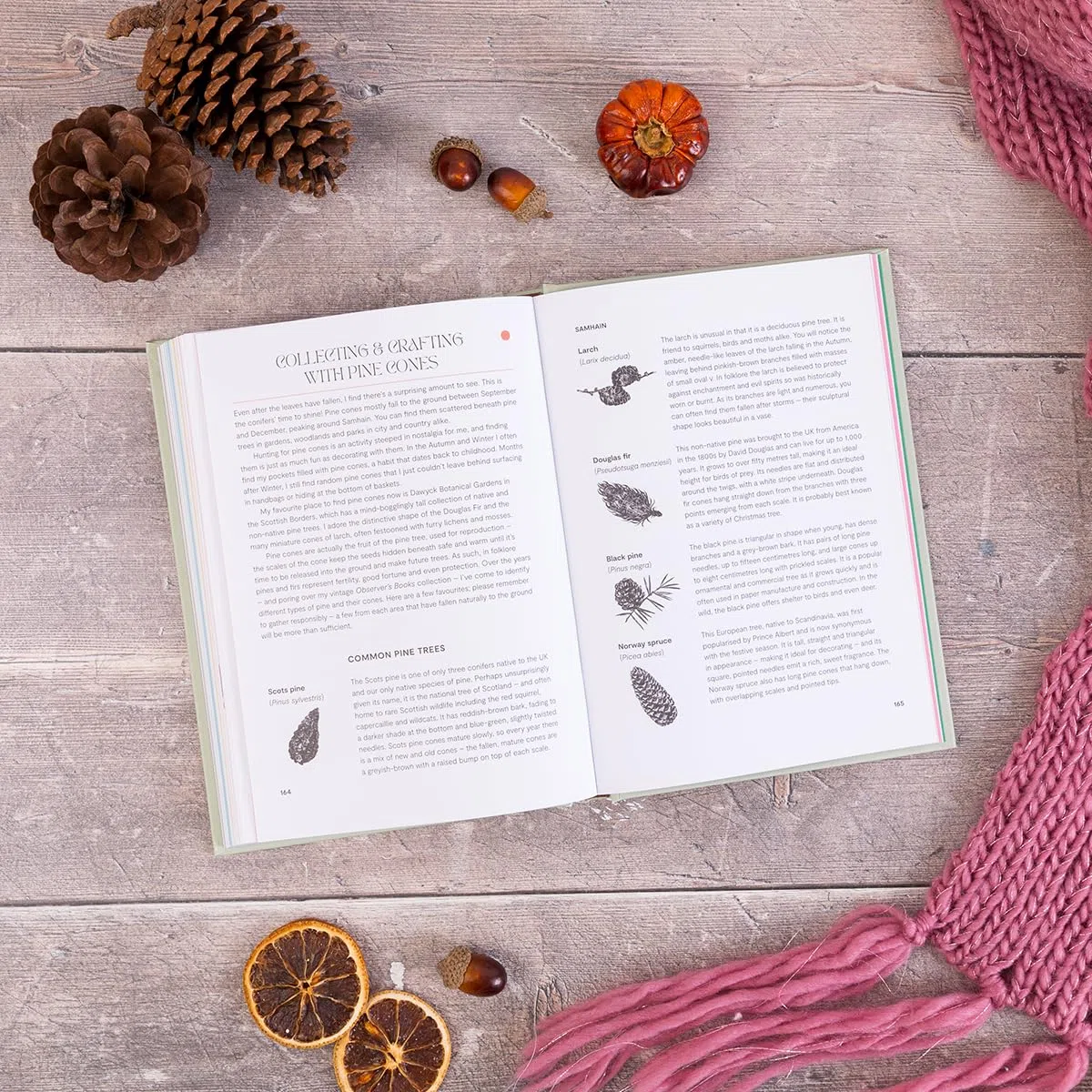 Slow Seasons: A Creative Guide to Reconnecting with Nature the Celtic Way