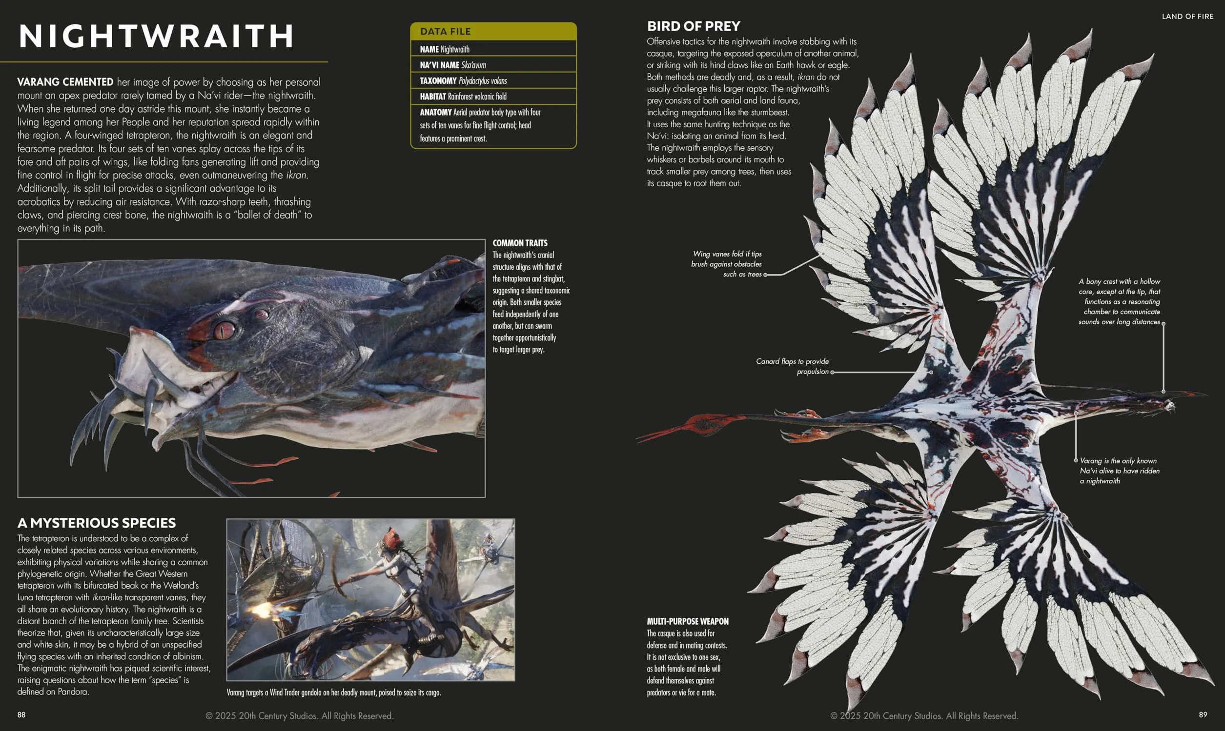 Avatar Fire and Ash The Visual Dictionary