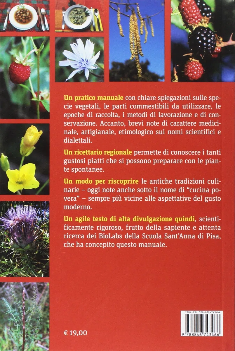 Piante spontanee d'uso alimentare. Viaggio alla scoperta della cucina povera