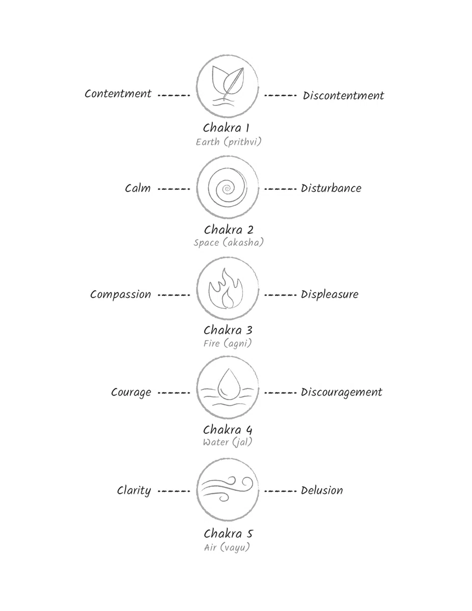 Spiritual Anatomy: Meditation, Chakras, and the Journey to the Center