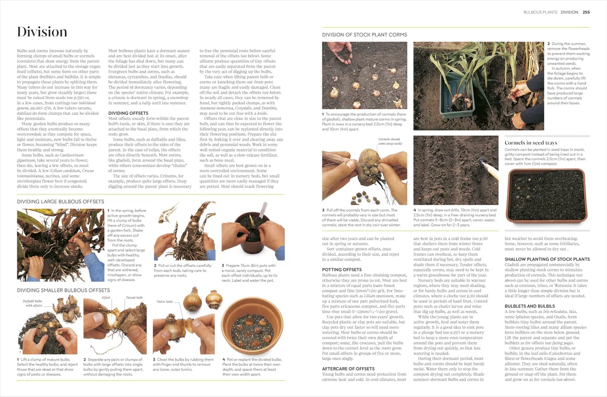 RHS Propagating Plants: How to Grow Plants for Free