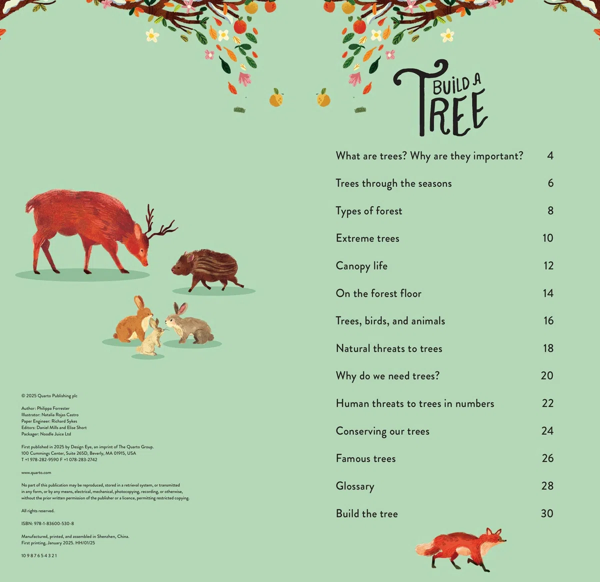 Make and Play: Build A Tree: Build a 30cm Oak Tree! Includes a 32-page Book and 40+ Model Pieces