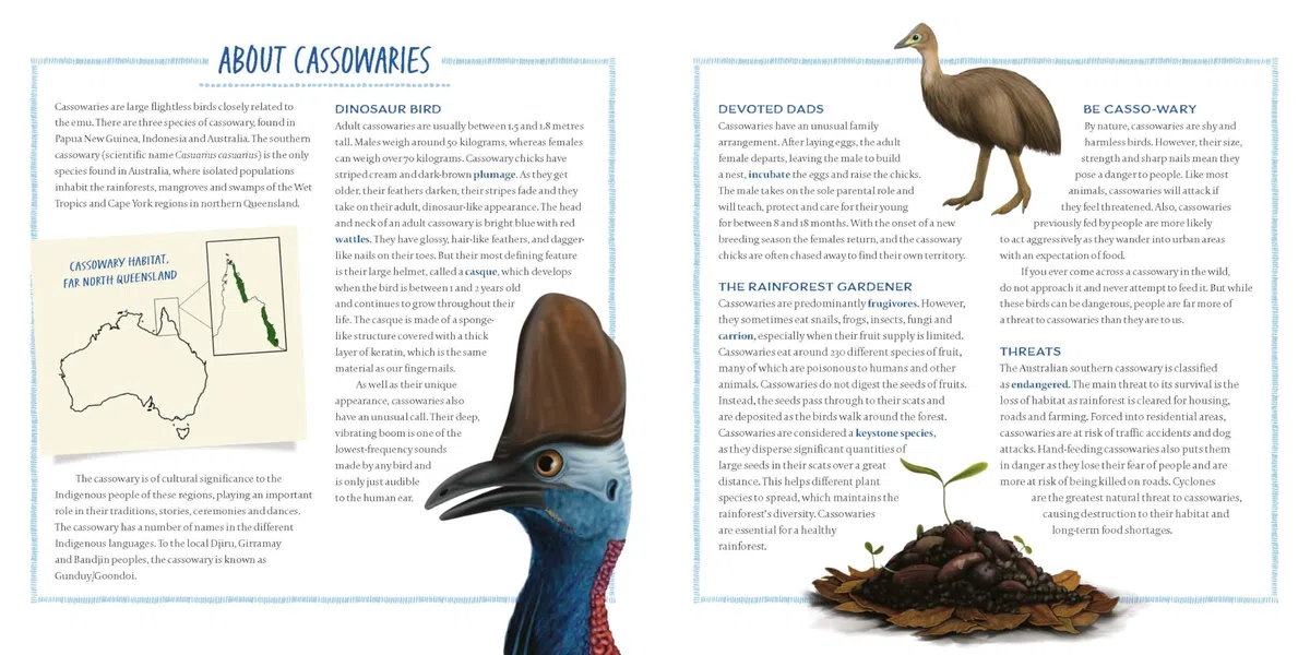 Cassowary Dad