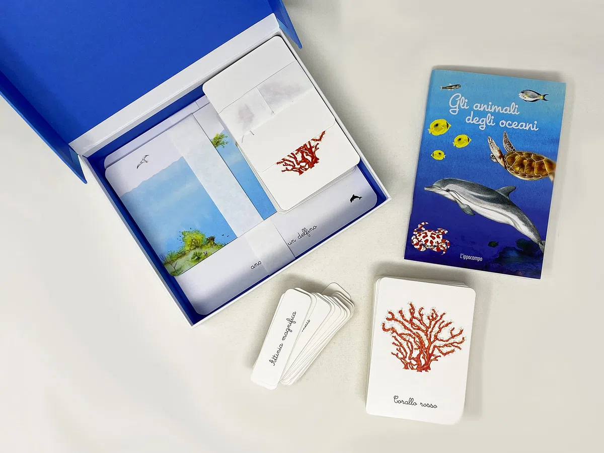 Il mio cofanetto Montessori degli oceani. Ediz. a colori. Con 90 carte degli animali. Con 5 carte degli strati dell’oceano. Con 43 etichette. Con 5 tavole anatomiche