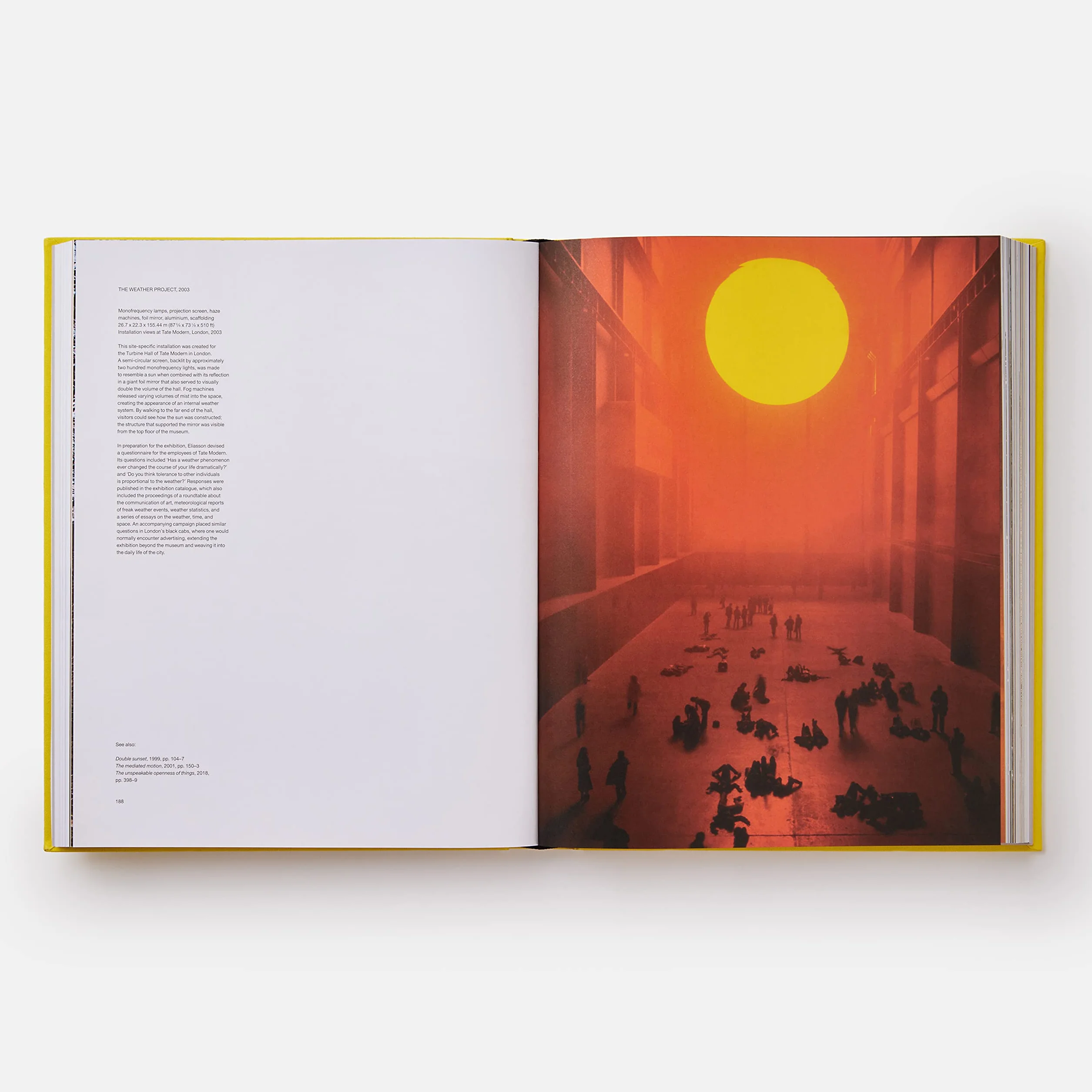 Olafur Eliasson. Experience
